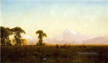 ワイオミング州グランドティトンの鹿の放牧 アルバート・ビアシュタット Oil Paintings